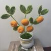 orange tree