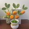 orange tree