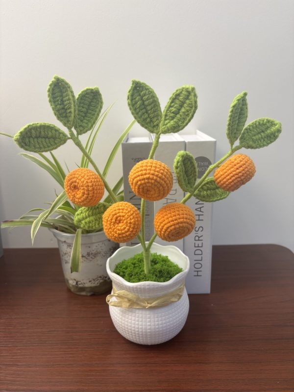 orange tree
