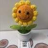 small smiley face sunflower