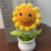 small smiley face sunflower
