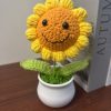 small smiley face sunflower