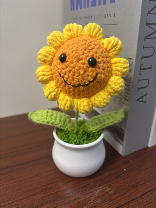 small smiley face sunflower