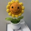 small smiley face sunflower