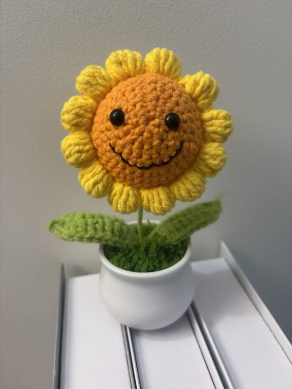 small smiley face sunflower