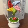 pinwheel/windmill