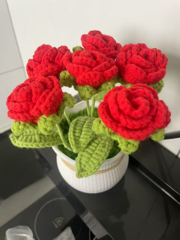 rose