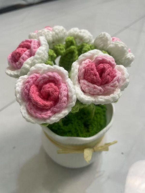 rose
