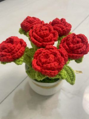 rose