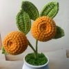 small orange tree