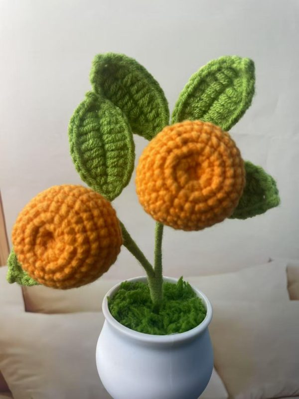 small orange tree