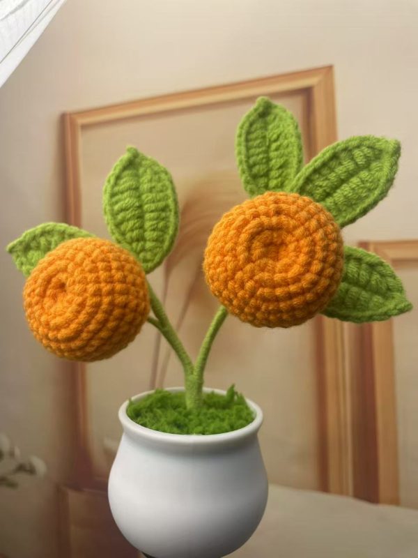 small orange tree