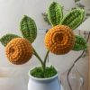 small orange tree