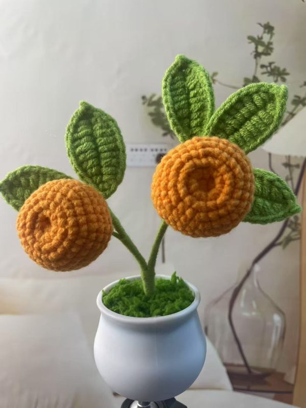 small orange tree