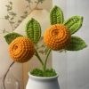 small orange tree