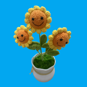 smiley face sunflower