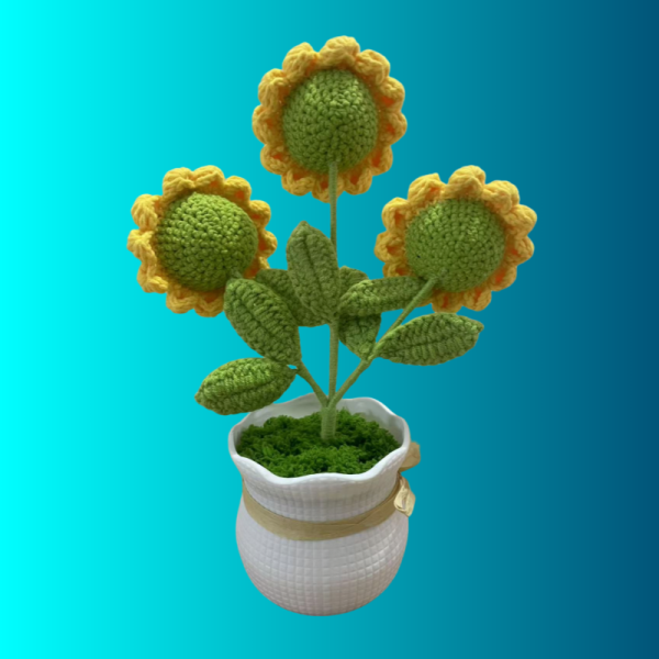 smiley face sunflower