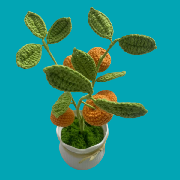 orange tree