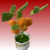orange tree