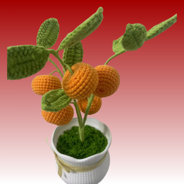 orange tree
