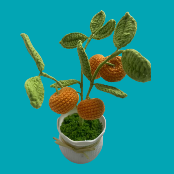 orange tree