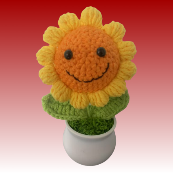 small smiley face sunflower