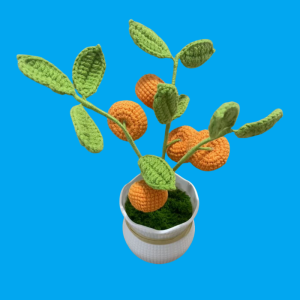 orange tree