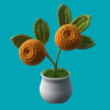 small orange tree