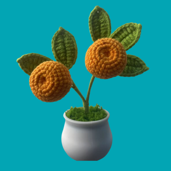 small orange tree