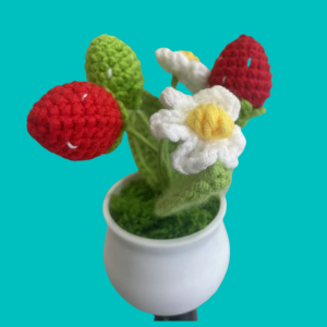 strawberry