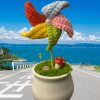pinwheel/windmill