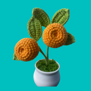 small orange tree