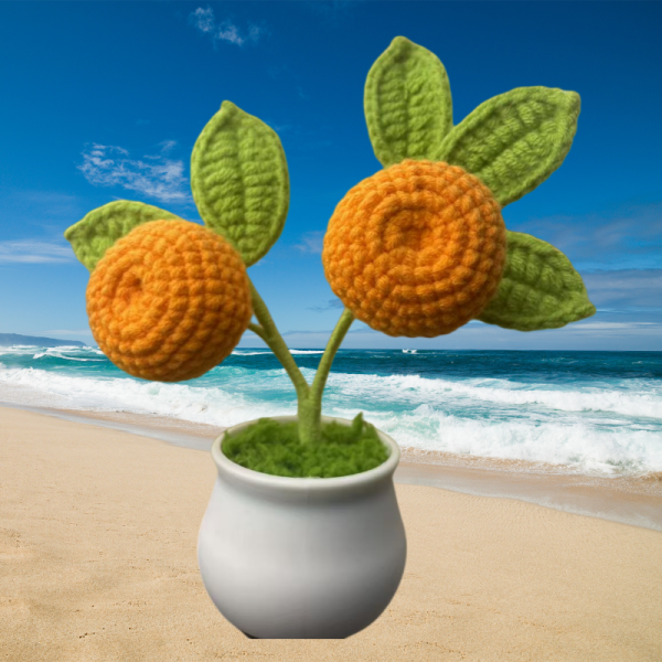 small orange tree