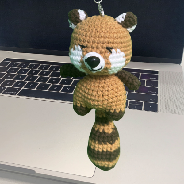 racoon