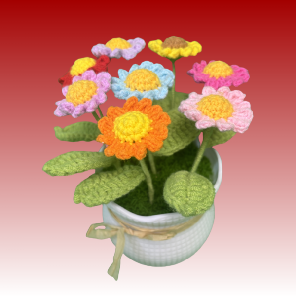 daisy