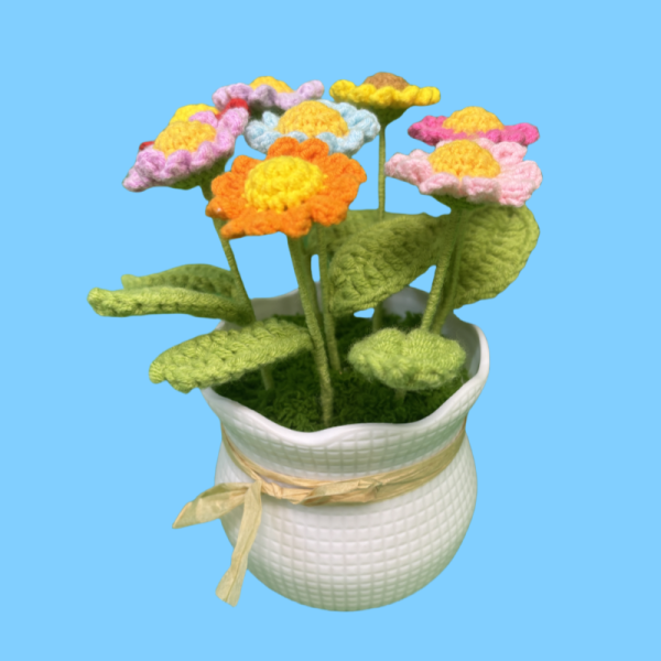 daisy
