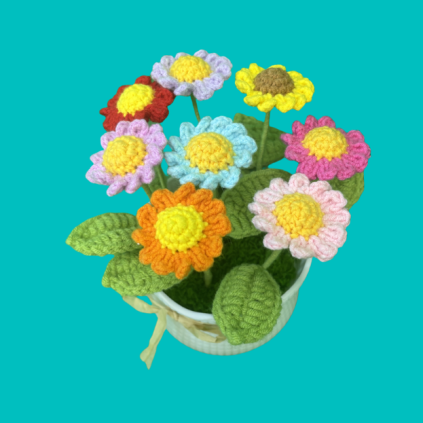 daisy