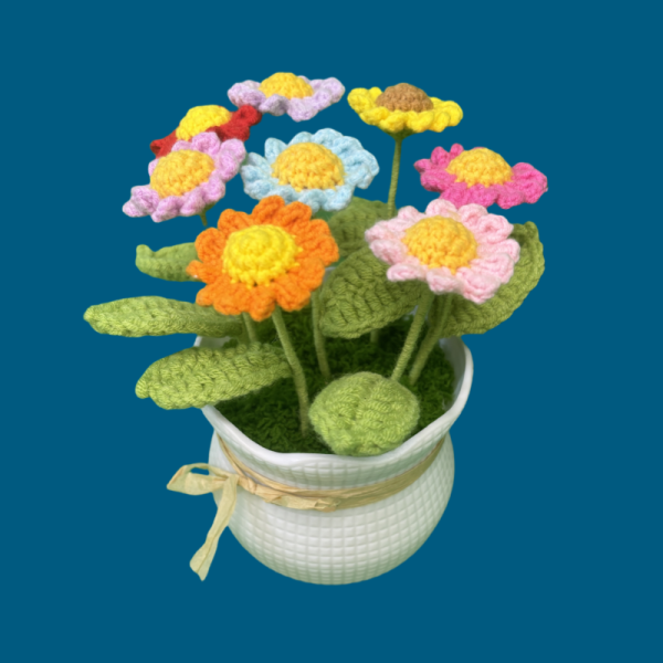 daisy