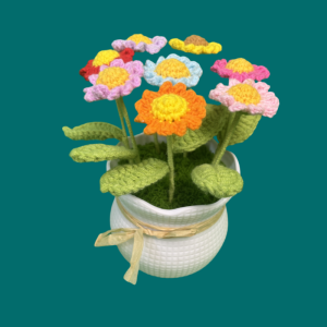 daisy