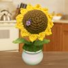 regular single sunflower
