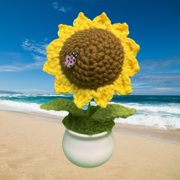 regular single sunflower