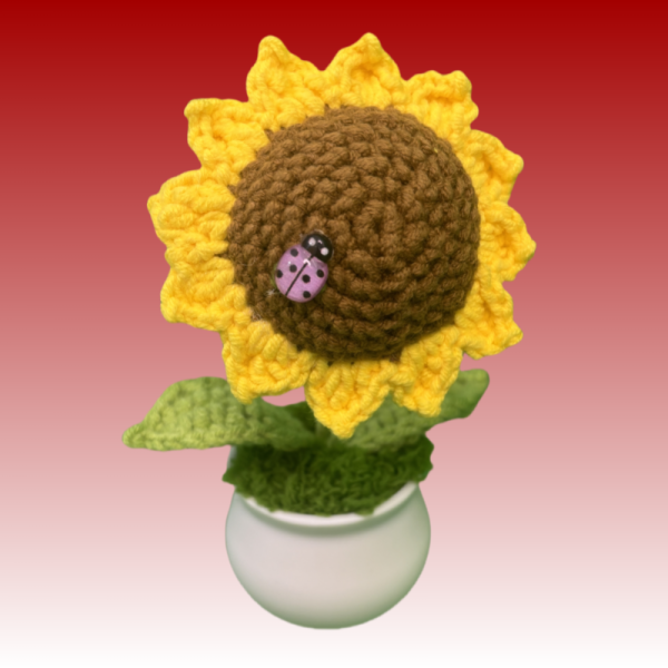 regular single sunflower