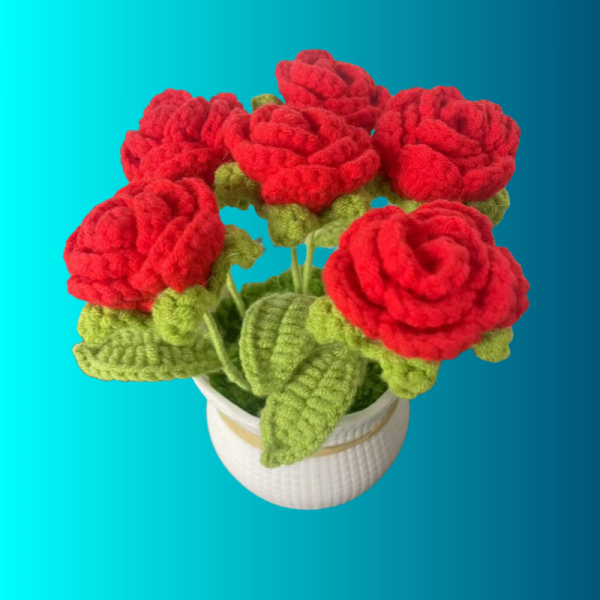 gradient rose